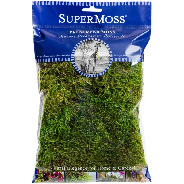 SuperMoss Forest Moss Preserved Fresh Green 2 oz