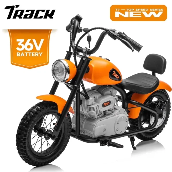 Track 7 36V Electric Dirt Bike for Kids, 350W Ride on Motorcycle with Twist Grip Throttle, Hand - Operated Brakes, Key Start, Off - Road Motocross Speed up to 15 Mph, Age 8+, White