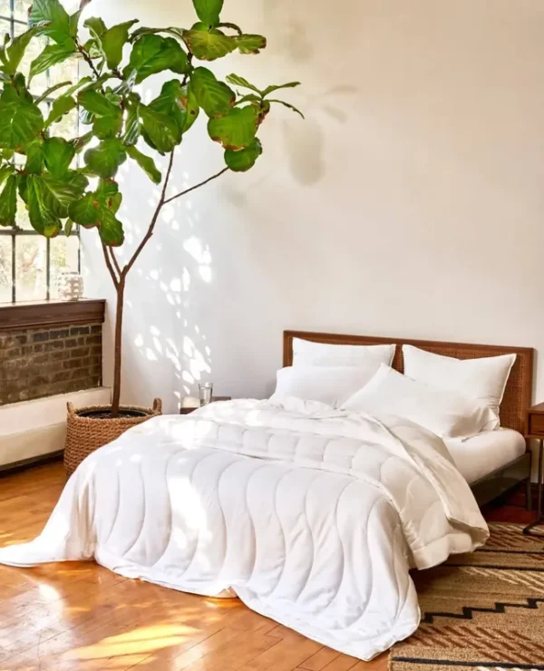 Buffy Cloud Comforter
