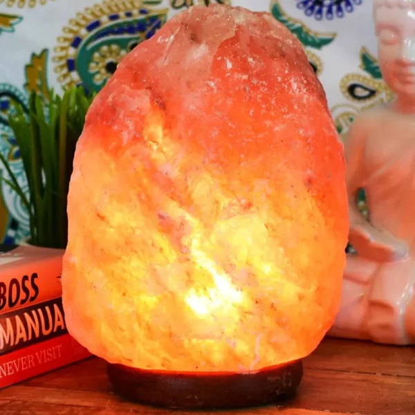 Original Himalayan Salt Lamp (XL)