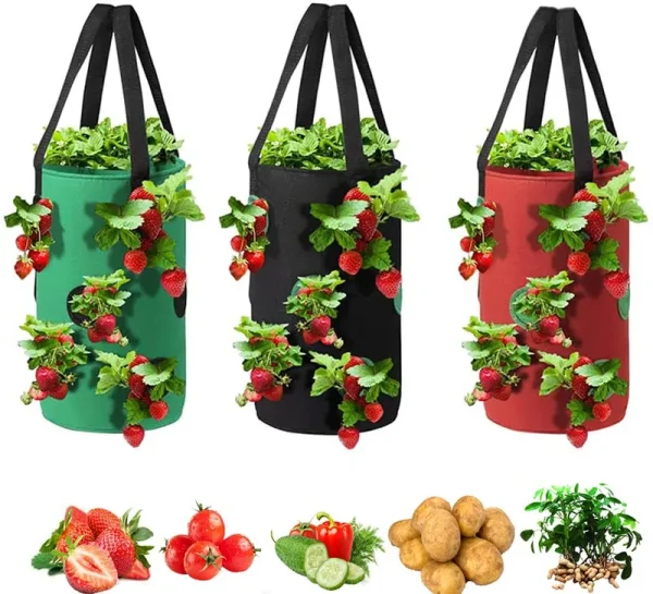 Grow Bags 3 Gallon for Strawberry Vegetables 12 Planting Holes, Sturdy Hanging Handle Thickened Breathable Felt Cloth, Plant Grow Bag for CA