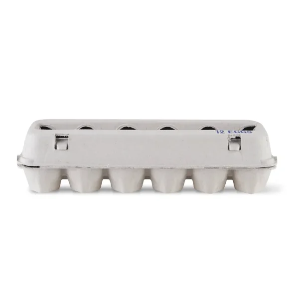 Vibrant Life Egg Carton, Holds 12 Eggs