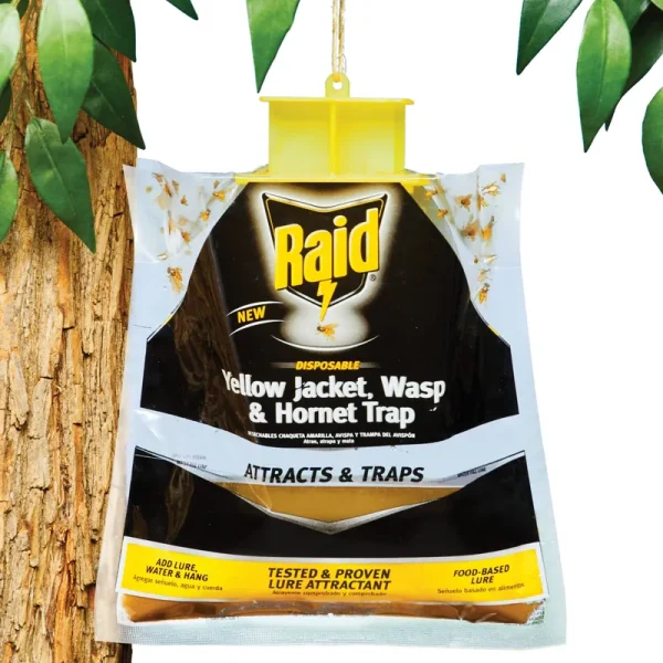 Raid Yellow Jacket, Wasp & Hornet Trap, Disposable - 0.34 oz / 10 ml