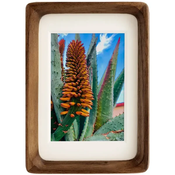 Natural Wood Photo Frames Inspired Tabletop Picture Frame with Mat, Vertical or Horizontal Display (Walnut, 4x6 Matted to 3x5)