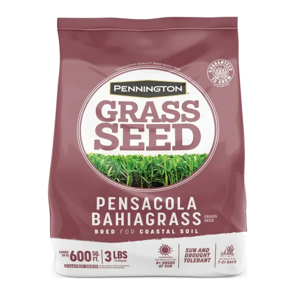 Pennington Pensacola Bahiagrass 3-lb Bahia Grass Seed | 100543689