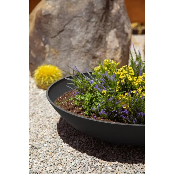 Pure Series Lane Bowl Planter Mercury Row Size: 8" H x 32" W x 32" D, Set of: Set of 1, Color: Black