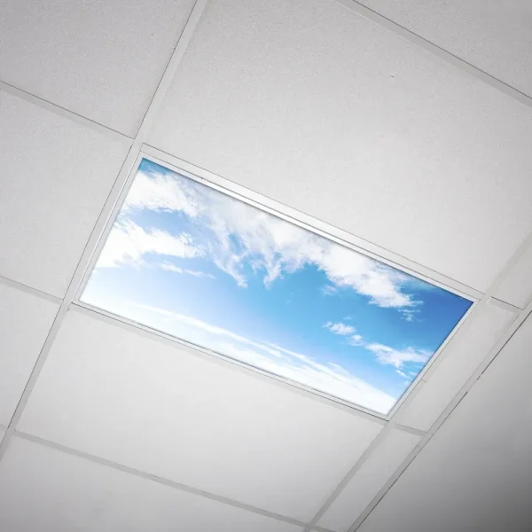 Octo Lights - Fluorescent Light Covers - Cloud 004