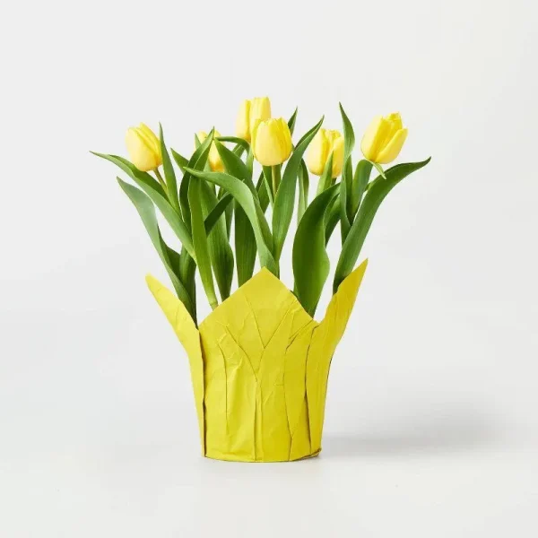 Live 6" Yellow Potted Tulip Plant - Spritz