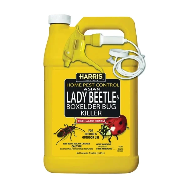 Harris 1 Gal Asian Lady Beetle & Box Elder Bug Killer