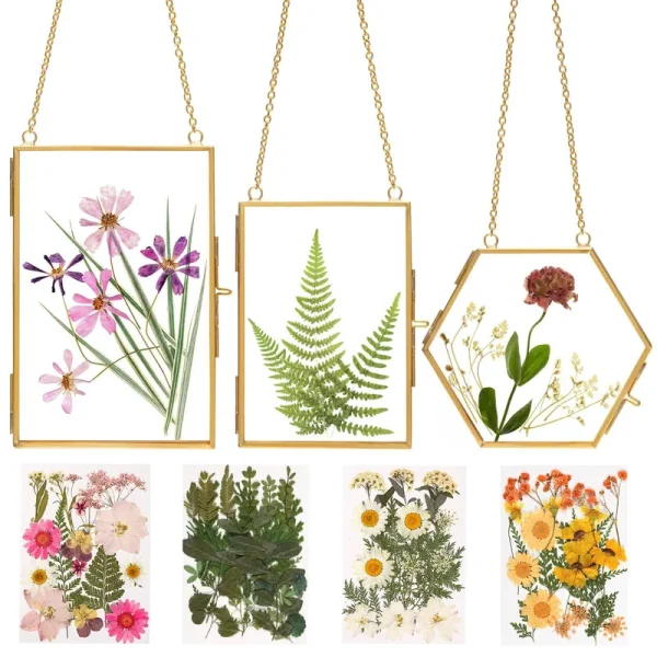 Relaxing Garden Double Glass Frame for Pressed Flowers - w/Real Dried Flowers and Tweezer for Handicrafts, Photo, or Other Small Flat Items