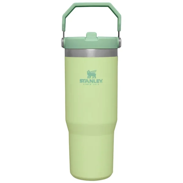 Stanley The IceFlow Flip Straw Tumbler | 30 oz, Citron