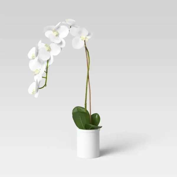 Small Potted Orchid - Threshold