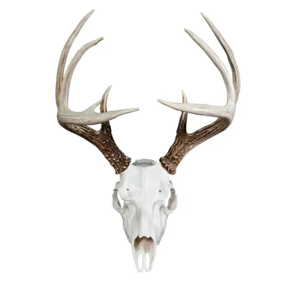 Mountain Mike's Universal Skull Master Mounting Kit