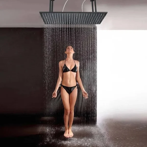 Senlesen 310-PH4080HS Rain Fixed Shower Head 2.5 GPM GPM with Self-Cleaning