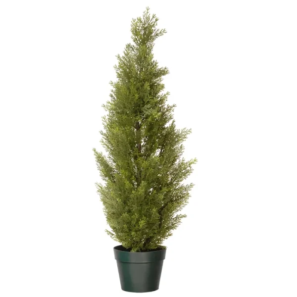 National Tree 36" Arborvitae with Green Pot