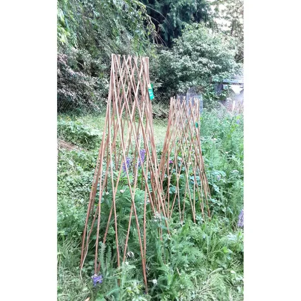 Willow Wood Expanding Trellis MGP Color: Brown, Size: 60" H x 14" W x 14" D
