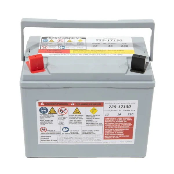 MTD Parts 12-Volt Absorbent Glass Mat (AGM) Battery - 230 CCA
