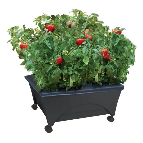 20 in. x 24 in. Charcoal Resin Indoor/Outdoor City Picker Raised Bed Grow Box Self-Watering Improved Aeration Casters