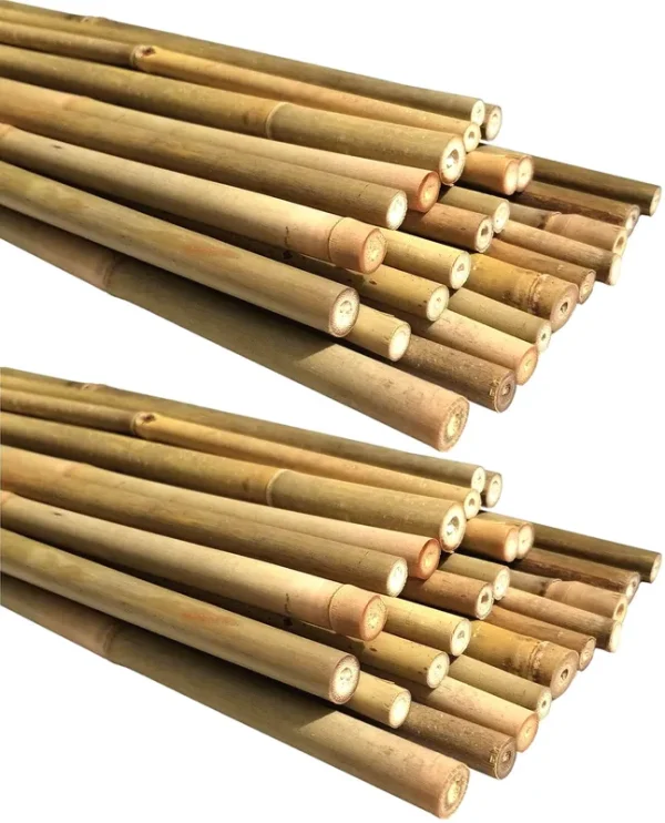 DLH Western Natural Bamboo Poles, Eco-Friendly Plant Support Garden Stakes 16 inch Long (50-Count)