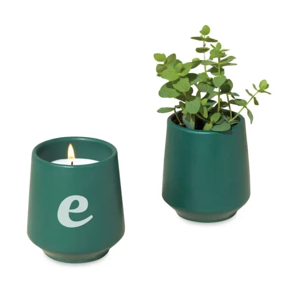 Modern Sprout Rooted Candle - Thyme