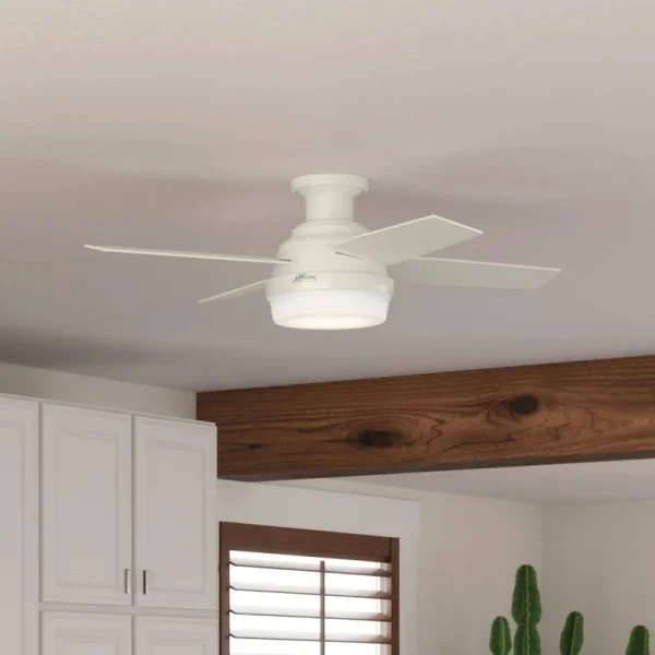 Hunter Dempsey 44" Ceiling Fan - Fresh White