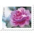 100 Stamps 5 Books
