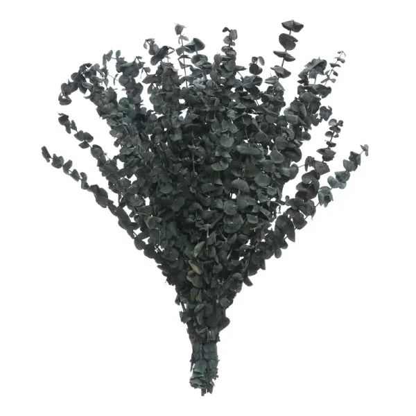Ashland Eucalyptus Bunch - 16 oz