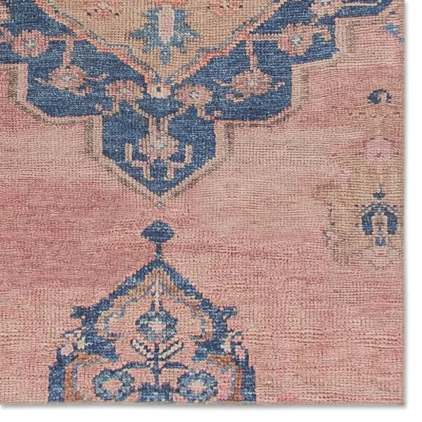 Machine Washable Pink/Blue Rug Birch Lane Rug Size: Rectangle 4' x 8'
