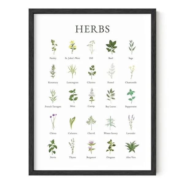 Haus and Hues Herb Pictures for Kitchen Wall Art Kitchen Herbs Wall Art and Botanical Prints Herbs Art | Kitchen Wall Art Herbs Poster and Kitchen