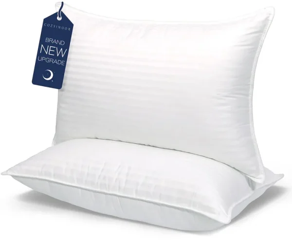 COZSINOOR Queen Size Bed Pillows Set of 2, Plush Cooling Hotel Quality Pillows with Breathable Skin-Friendly Microfiber Cover