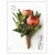 100 Stamps 5 Sheets